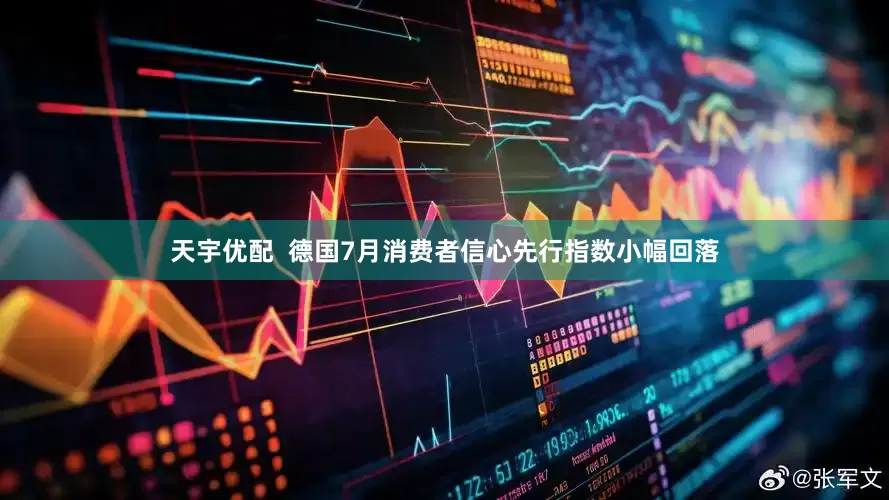 天宇优配  德国7月消费者信心先行指数小幅回落