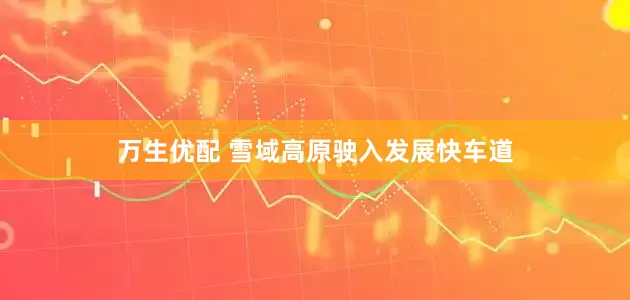 万生优配 雪域高原驶入发展快车道